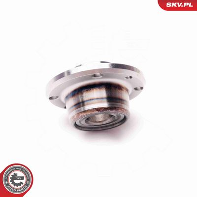 SET RULMENT ROATA ESEN SKV 29SKV075 2