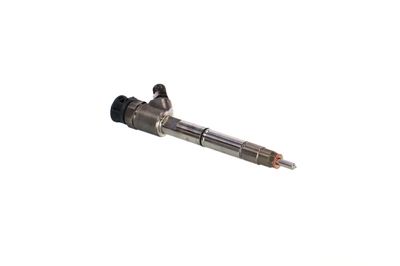 INJECTOR REMANTE 002003002135R 51