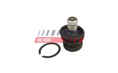 ARTICULATIE PARGHIE COT