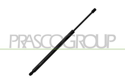 GASFEDER KOFFER-/LADERAUM