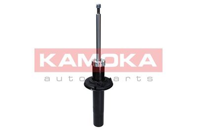 Shock Absorber 2000647