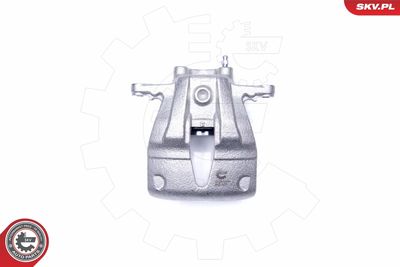 Brake Caliper 42SKV231