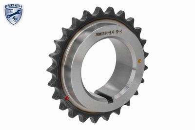 ROATA DINTATA ARBORE COTIT