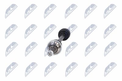 PLANETARA NTY NPWFR031 17