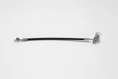 FURTUN FRANA ATE 24529603933 2