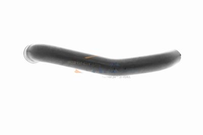 FURTUN AERISIRE BLOC MOTOR VAICO V105284 6