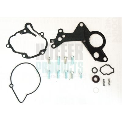 SET REPARATIE POMPA VACUUM (SISTE FRANA)