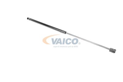 AMORTIZOR PORTBAGAJ VAICO V101927 18