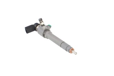 INJECTOR REMANTE 002003001158R 52