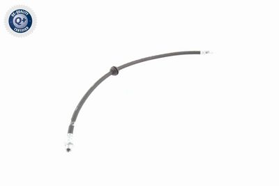 FURTUN FRANA VAICO V204119 8