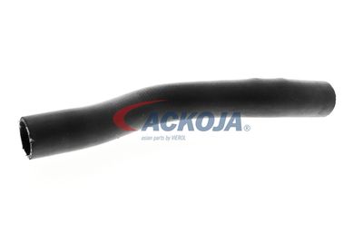 FURTUN RADIATOR ACKOJA A261604 32