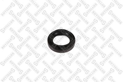 STELLOX 34-00087-SX Уплотняющее кольцо, дифференциал для DODGE CALIBER