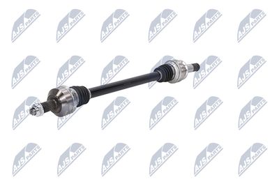 PLANETARA NTY NPWAR042 22