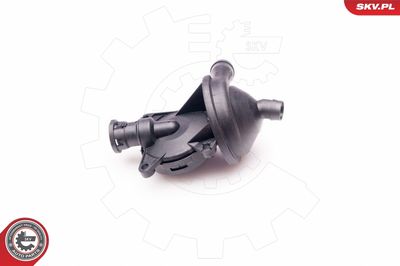 Oil Separator, crankcase ventilation 31SKV041