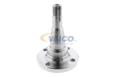 BUTUC ROATA CORP AXA VAICO V400793 14