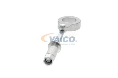 INTINZATOR CUREA TRANSMISIE VAICO V302079 48