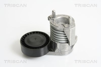 TRISCAN 8641 103025 Натяжитель ремня генератора для FORD KUGA