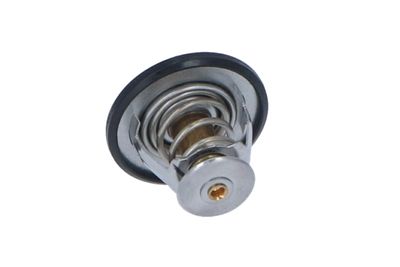TERMOSTAT LICHID RACIRE NRF 725087 25