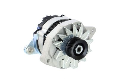 GENERATOR / ALTERNATOR REMANTE 011003000081R 55