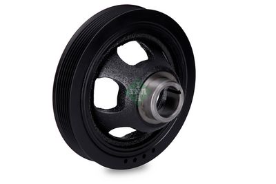 FULIE CUREA ARBORE COTIT Schaeffler INA 544014410 1