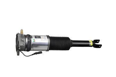 LUFTFEDERBEIN Arnott AS2958 51