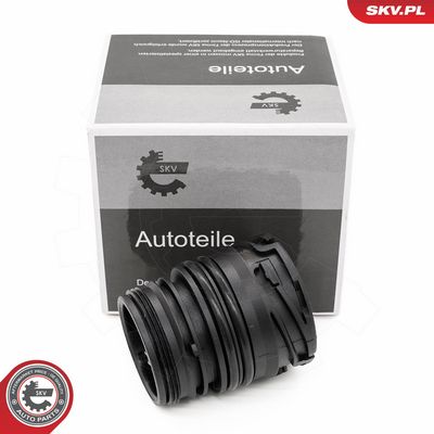 Zásuvná skříň, automatická převodovka (řídicí jednotka) ESEN SKV 96SKV415