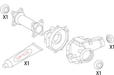 SET GARNITURI DIFERENTIAL CORTECO 19536186