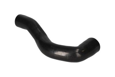 FURTUN EAR SUPRAALIMENTARE BIRTH 55646 8