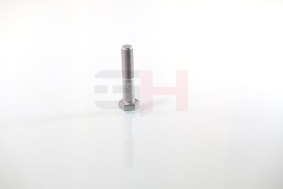 SURUB CAPAT DE AX GH GH392360 21