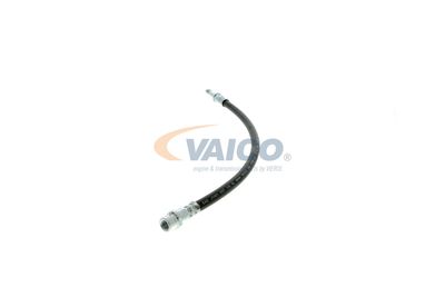 FURTUN FRANA VAICO V309931 24