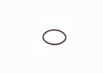 Rubber Ring F 00R 0P0 166