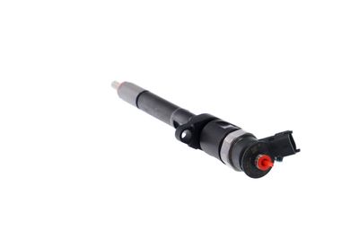 INJECTOR REMANTE 002003001727R 22