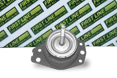 окачване, двигател FIRST LINE FEM3049