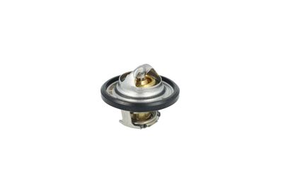 TERMOSTAT LICHID RACIRE NRF 725544 35
