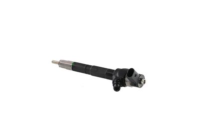 INJECTOR REMANTE 002003000142R 16