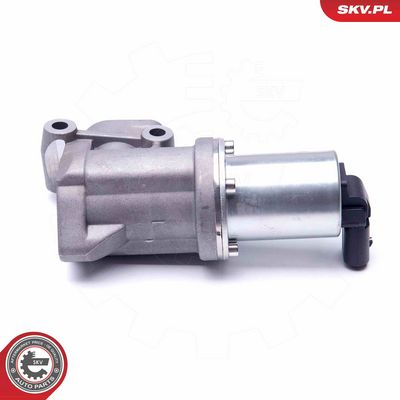 AGR - Ventil ESEN SKV 14SKV105