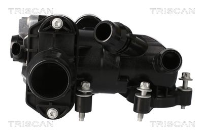 Termostat, płyn chłodzący TRISCAN 862060094