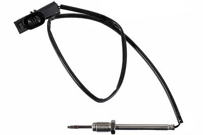 Sensor, Abgastemperatur