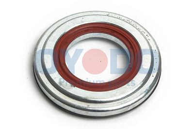 Pakabos statramsčio atraminis guolis