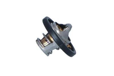 TERMOSTAT LICHID RACIRE NRF 725182 36