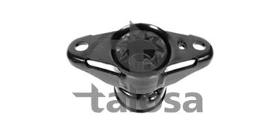 FEDERBEINSTüTZLAGER