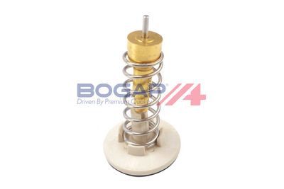 TERMOSTAT LICHID RACIRE