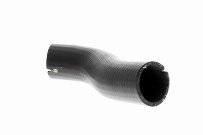 FURTUN EAR SUPRAALIMENTARE VAICO V240715 2