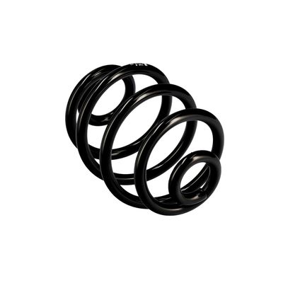 ARC SPIRAL EIBACH R10173 11