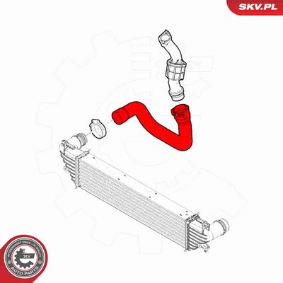 FURTUN EAR SUPRAALIMENTARE ESEN SKV 43SKV473 3