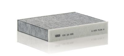 Filter, Innenraumluft