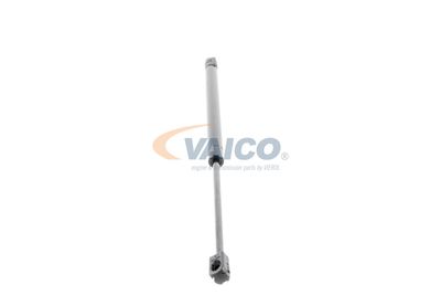 GASFEDER KOFFER-/LADERAUM VAICO V240499 25