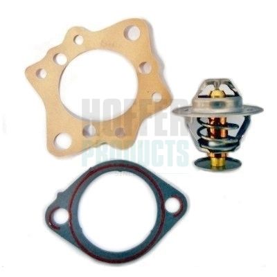 TERMOSTAT LICHID RACIRE