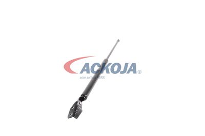 AMORTIZOR PORTBAGAJ ACKOJA A320091 51