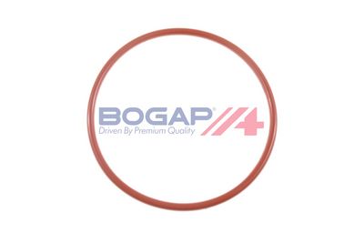 GARNITURA POMPA COMBUSTIBIL BOGAP C1623101 2